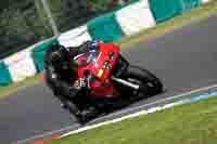 Middle Group Red Bikes